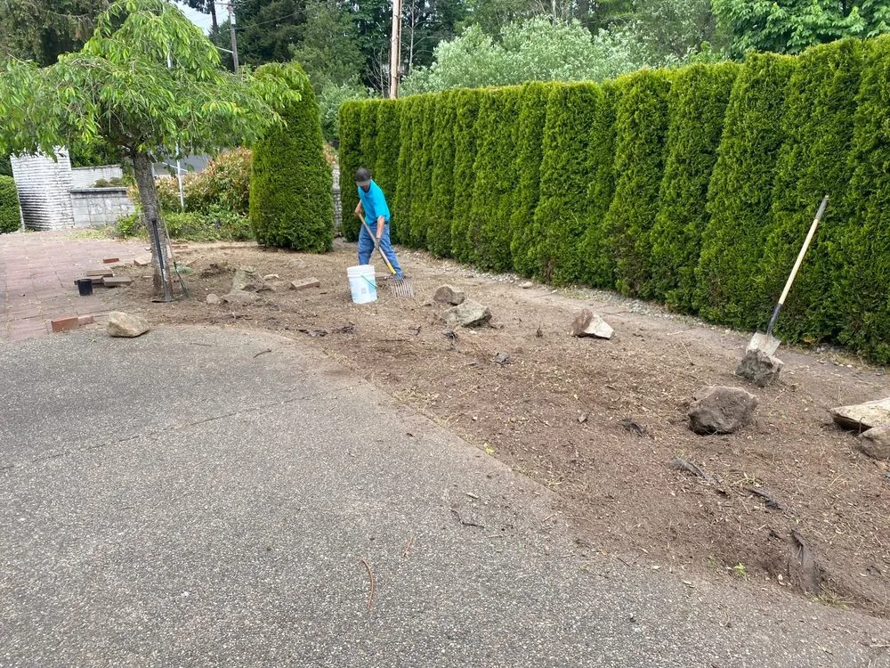 Professional outdoor landscaping for outdoor upgrades across Snohomish, WA - Two monkeys