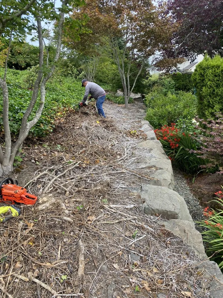 Reliable outdoor landscaping for year-round maintenance across Snohomish, WA - Two monkeys