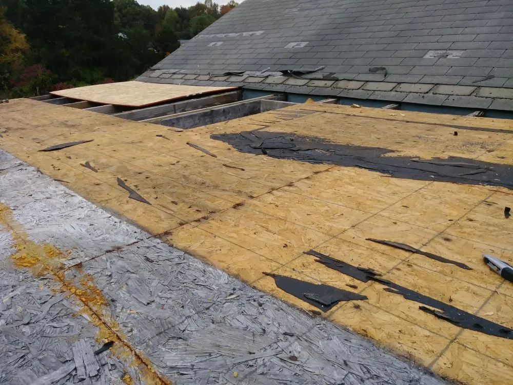 Expert yard maintenance near you across Spotsylvania Courthouse, VA - Two Mules Construction