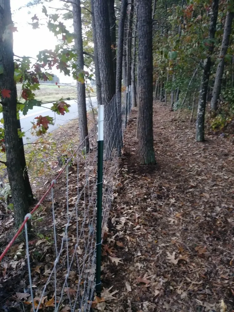 Local outdoor landscaping for residential properties across Spotsylvania Courthouse, VA - Two Mules Construction