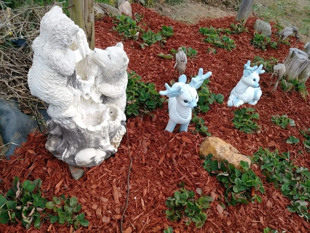 Top-rated landscaping services with custom design in Spotsylvania Courthouse, VA by Two Mules Construction