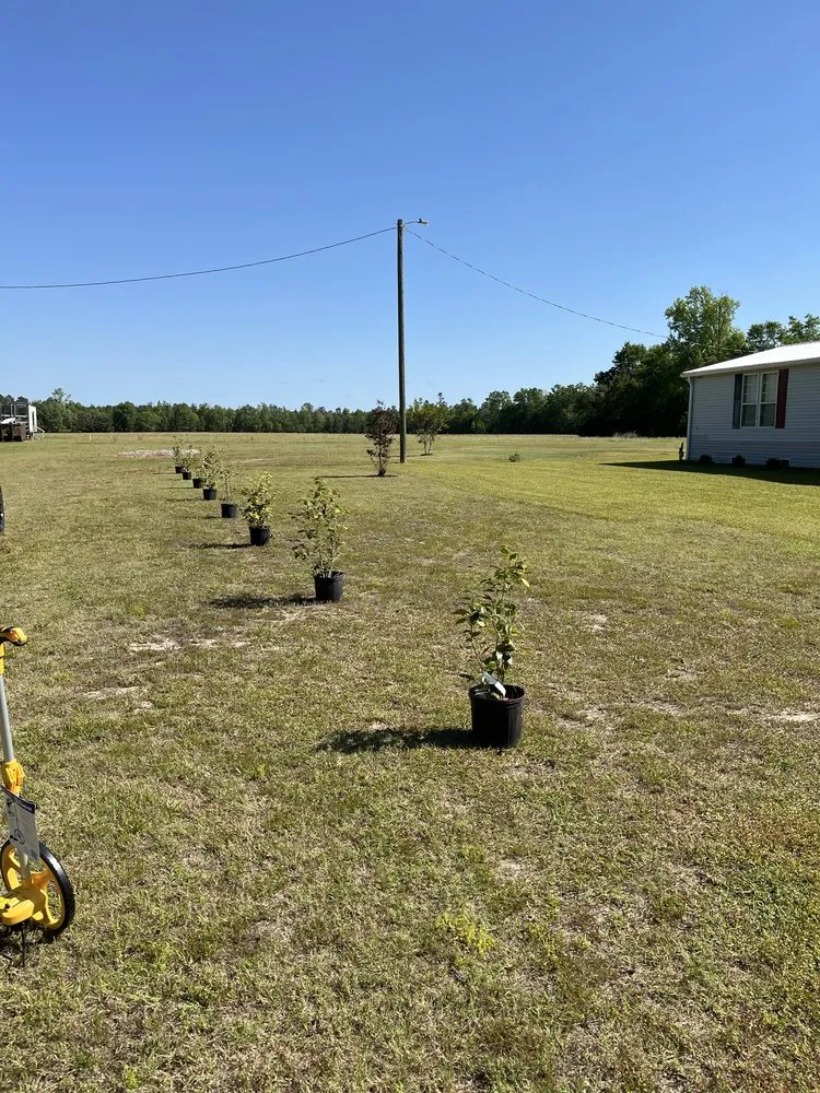 Custom residential landscaping in Ruffin, SC by Two Oaks Nursery & Landscaping