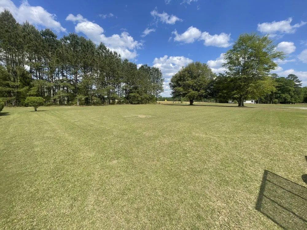 Reliable yard cleanup service experts serving Ruffin, SC - Two Oaks Nursery & Landscaping