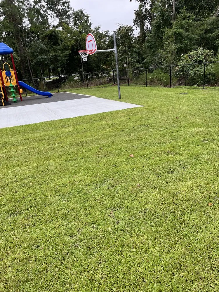 Reliable yard cleanup service in Ruffin, SC by Two Oaks Nursery & Landscaping