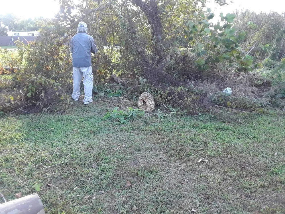 Reliable landscape installation for residential properties in Harvey, LA by Two Old Guys Lawn & Property Care