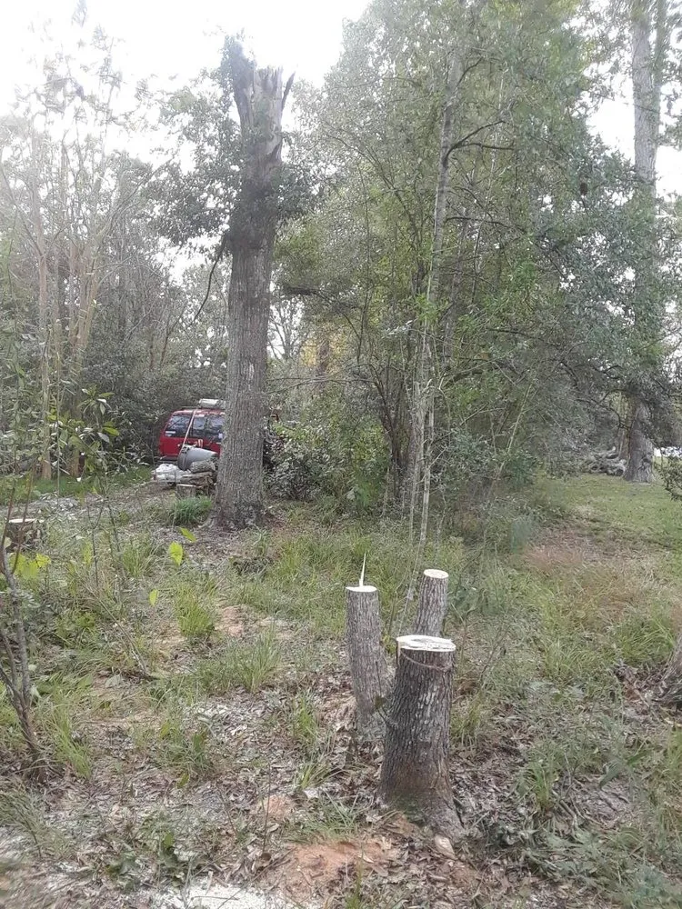 Reliable outdoor landscaping for homes in Harvey, LA by Two Old Guys Lawn & Property Care