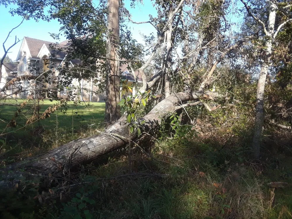 Trusted residential landscaping for beautiful yards in Harvey, LA by Two Old Guys Lawn & Property Care