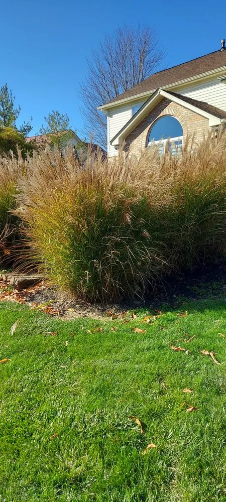 Trusted lawn care service experts serving Mason, OH - Two O's Home Improvement