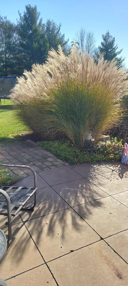 Trusted landscape design for outdoor upgrades across Mason, OH - Two O's Home Improvement