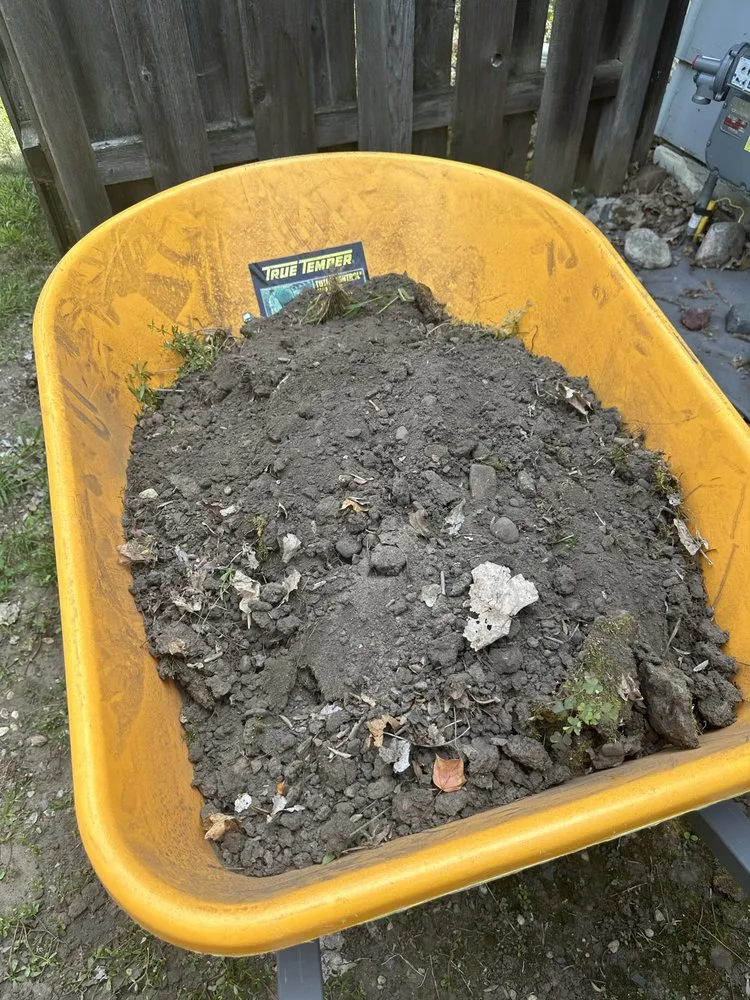 Top-rated landscaping services for residential properties in Bloomington, MN by Two Pines Lawn and Snow Services