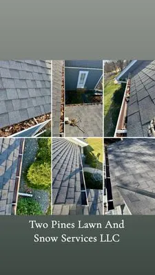 Two Pines Lawn and Snow Services Logo