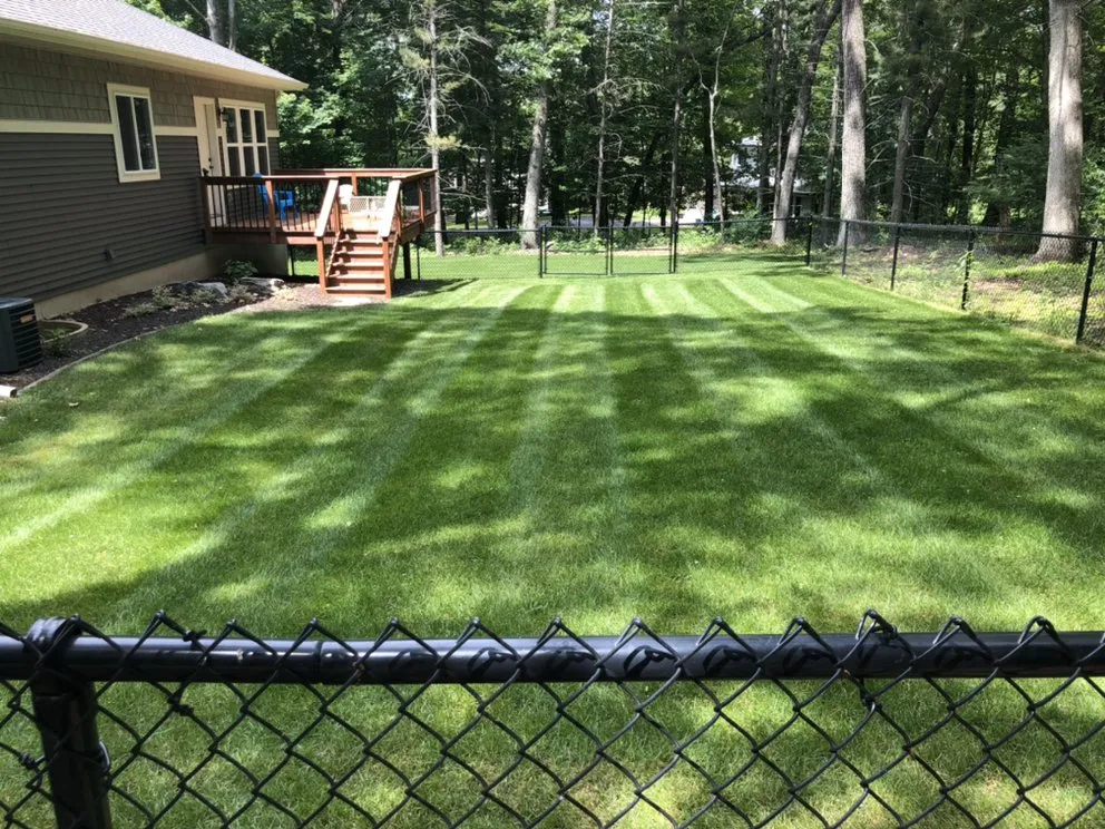 Expert residential landscaping for beautiful yards in Eau Claire, WI by Two Rivers Lawn & Landscape