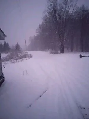 Two seasons lawn care and Snow plowing