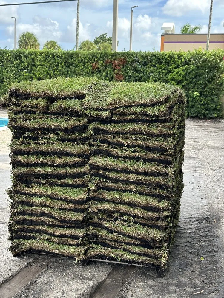 Custom lawn care service in Miami, FL by Two Sister Landscaping and Borders