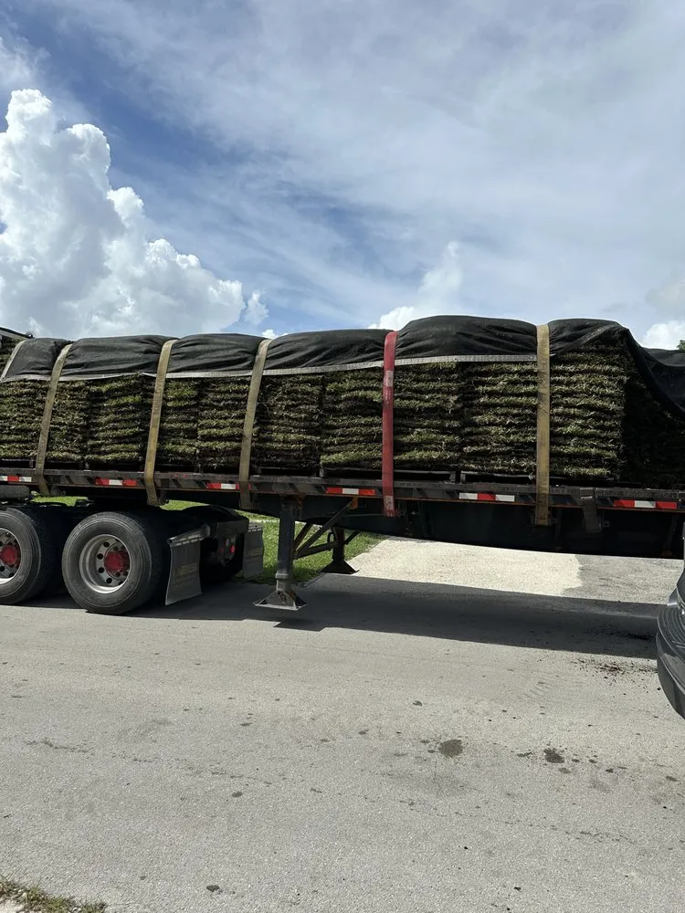 Reliable lawn mowing service for year-round maintenance in Miami, FL by Two Sister Landscaping and Borders