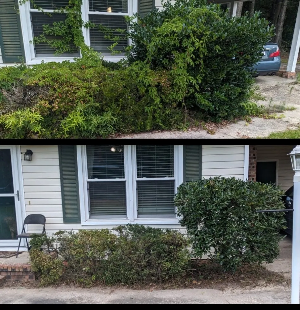 Custom landscape design for residential properties across Elgin, SC - Two Teens And A Truck