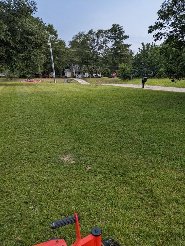 Professional lawn mowing service near you across Elgin, SC - Two Teens And A Truck