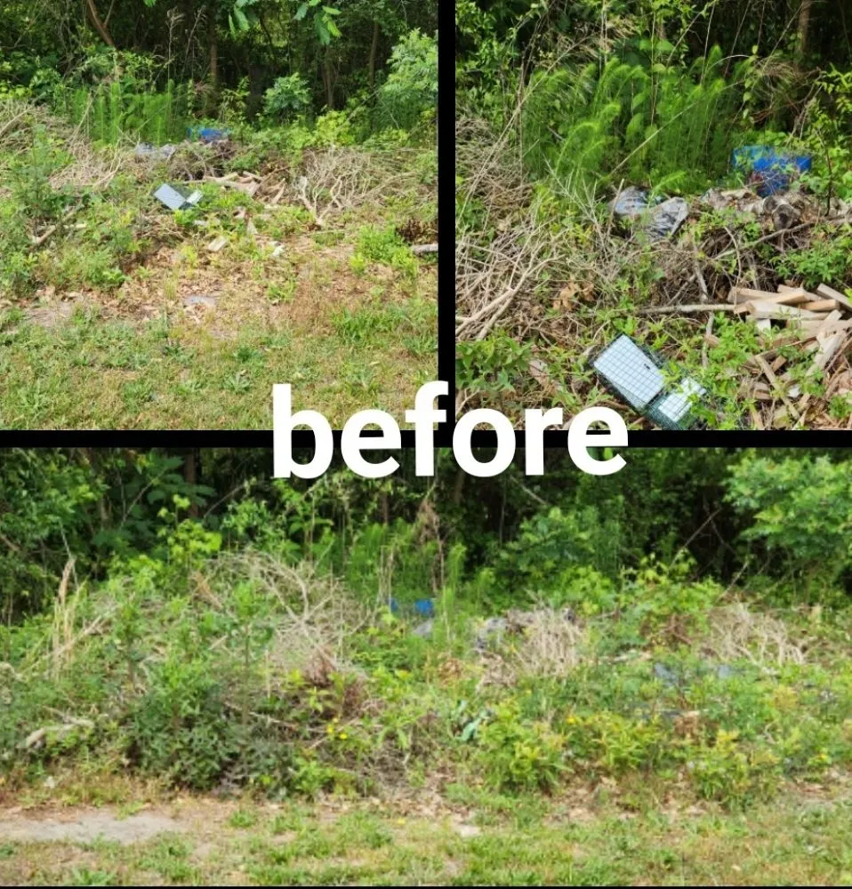 Professional outdoor landscaping for year-round maintenance in Elgin, SC by Two Teens And A Truck