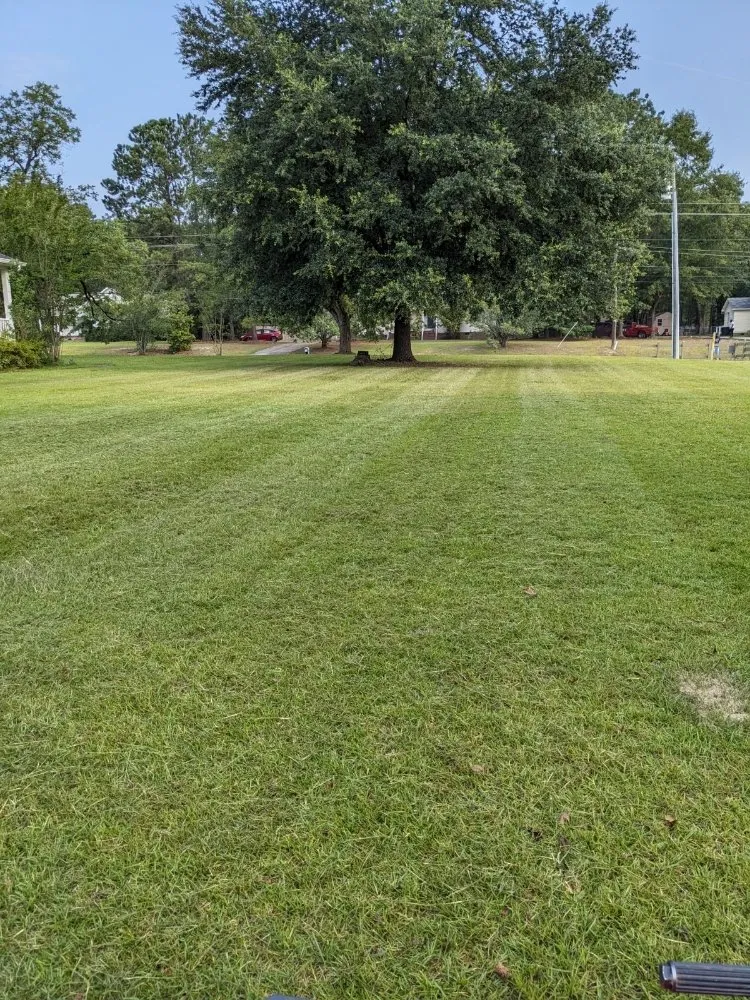 Top-rated yard maintenance experts serving Elgin, SC - Two Teens And A Truck