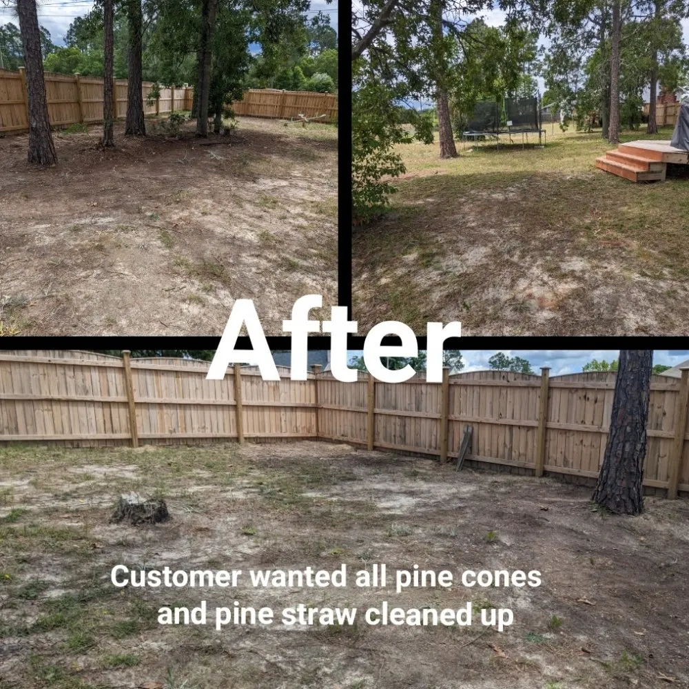 Expert yard maintenance near you in Elgin, SC by Two Teens And A Truck