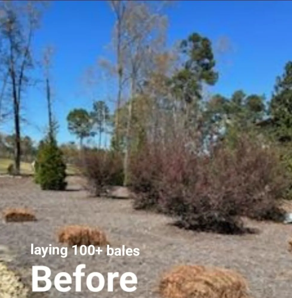 Local residential landscaping in Elgin, SC by Two Teens And A Truck