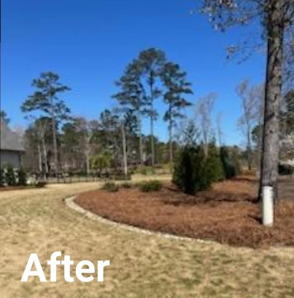 Professional lawn mowing service near you in Elgin, SC by Two Teens And A Truck