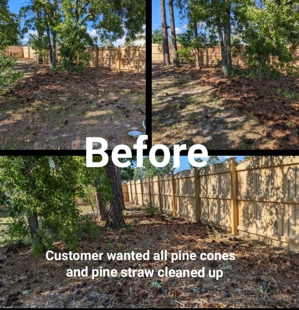 Trusted yard maintenance in Elgin, SC - Two Teens And A Truck