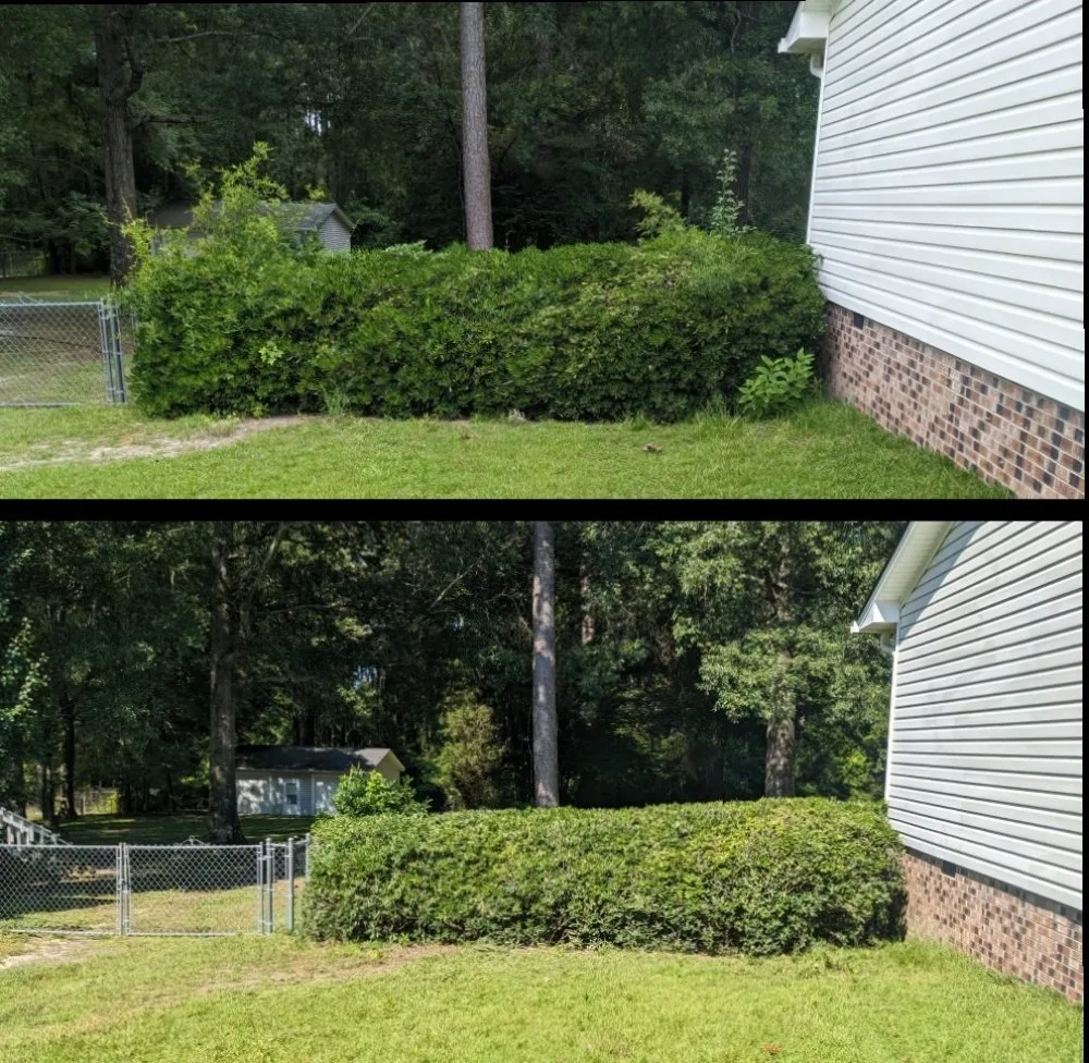 Reliable landscaping services in Elgin, SC - Two Teens And A Truck