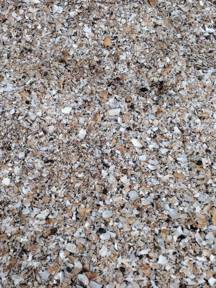 Local yard cleanup service in Berwick, ME by Two Wagons Landscaping