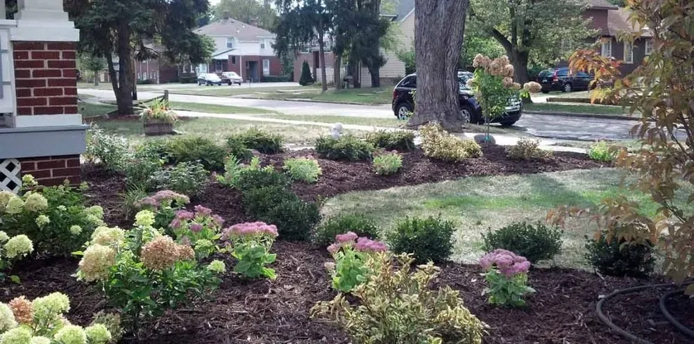 Top-rated yard maintenance in Royal Oak, MI - Two Women and a Hoe