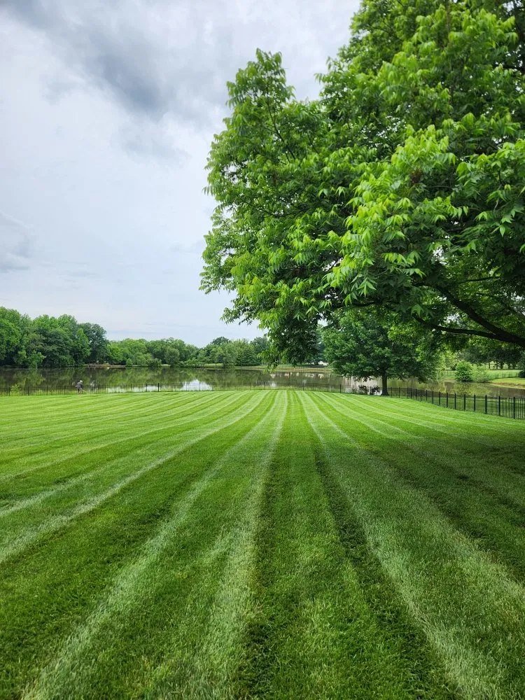 Affordable outdoor landscaping for beautiful yards in Midland, NC by TwoFlags Lawncare