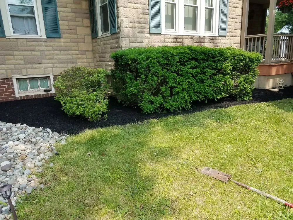 Expert yard cleanup service for residential properties across North Wales, PA - Twood's Lawn & Landscape