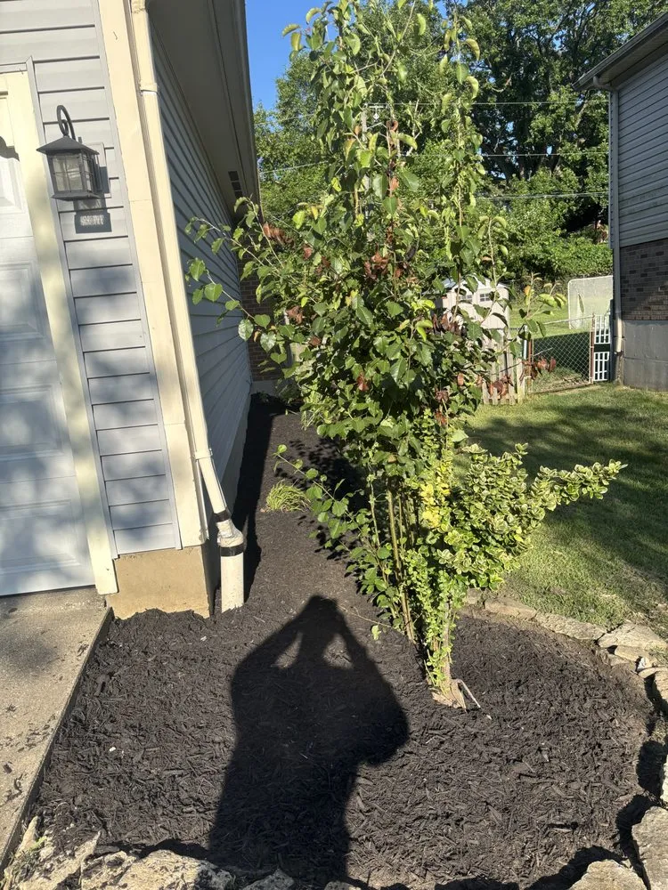 Top-rated yard maintenance in Cincinnati, OH by Twox junk