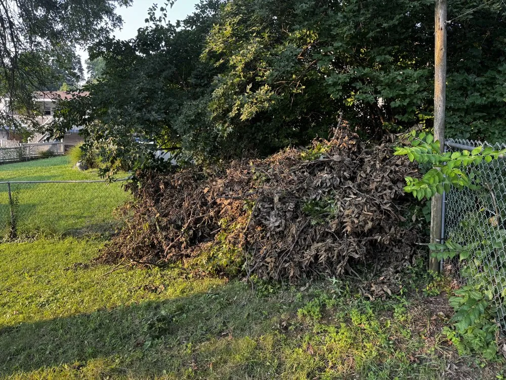 Top-rated residential landscaping in Cincinnati, OH - Twox junk