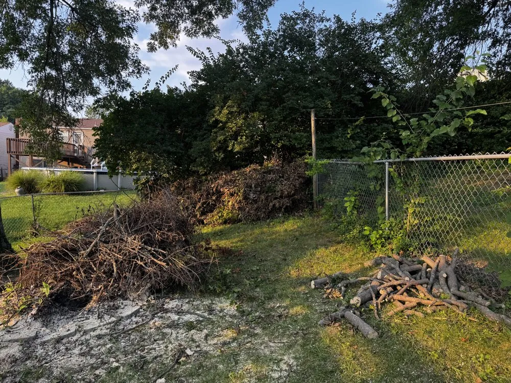 Custom landscape installation for homes across Cincinnati, OH - Twox junk