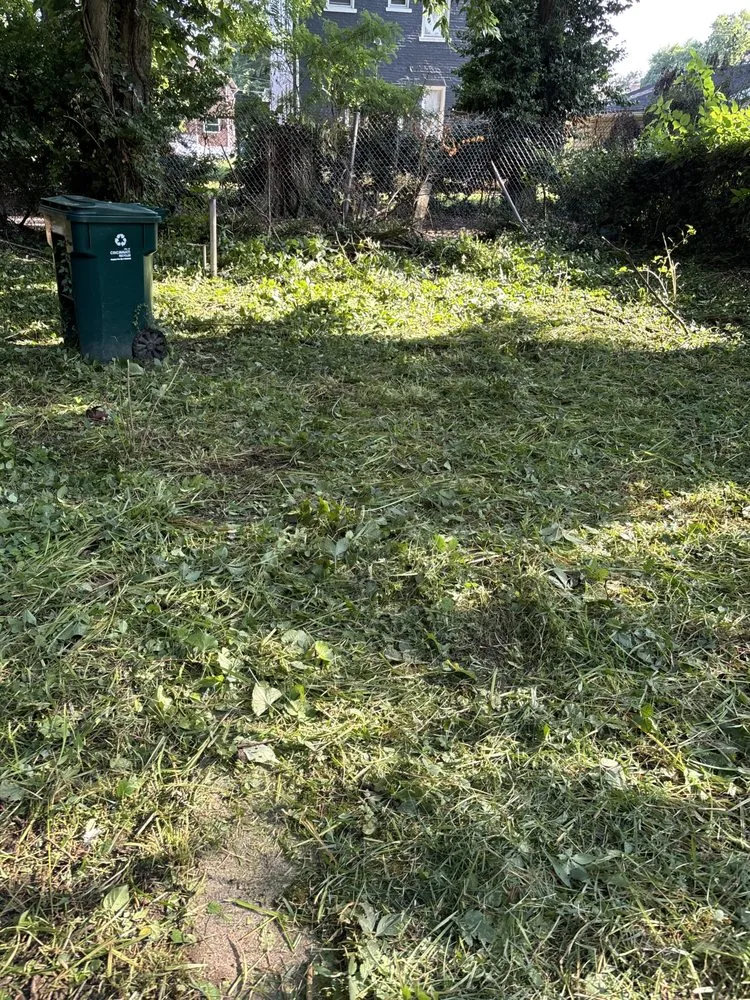 Expert outdoor landscaping in Cincinnati, OH - Twox junk