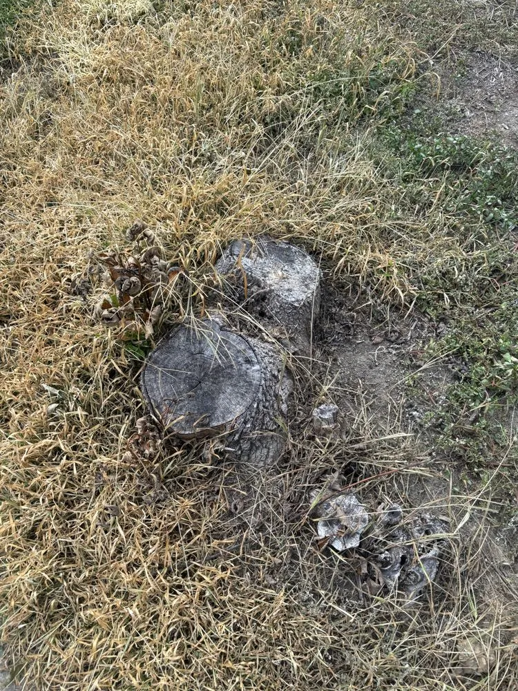 Top-rated landscape design in Cincinnati, OH by TwoX Translogistics