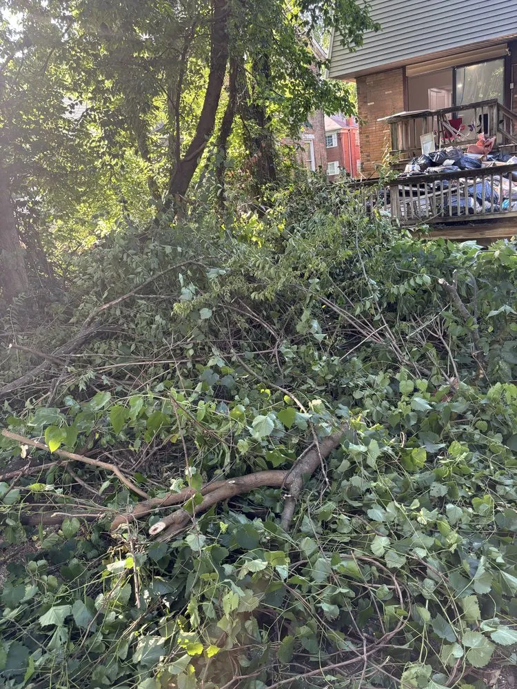 Reliable residential landscaping experts serving Cincinnati, OH - TwoX Translogistics