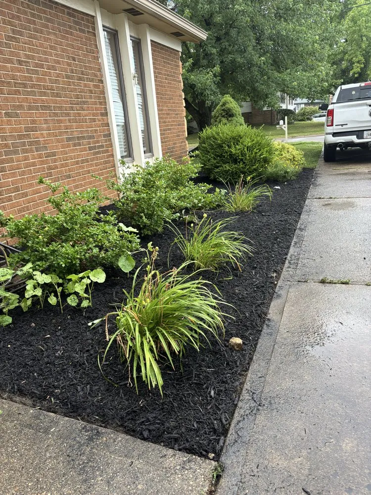 Expert lawn care service experts serving Cincinnati, OH - TwoX Translogistics