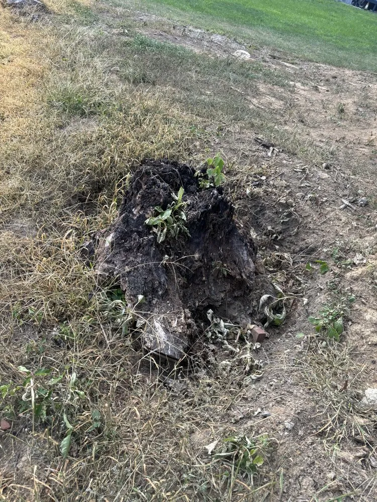 Professional lawn care service with custom design across Cincinnati, OH - TwoX Translogistics