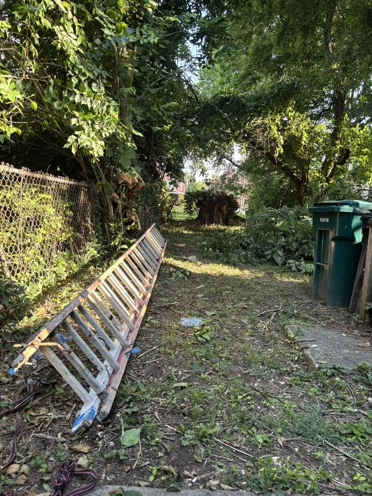 Professional landscape installation in Cincinnati, OH - TwoX Translogistics