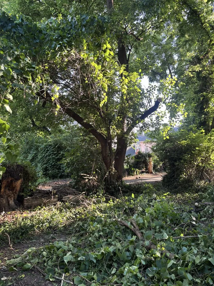 Professional lawn care service for beautiful yards in Cincinnati, OH by TwoX Translogistics