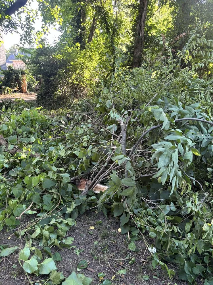 Expert yard cleanup service in Cincinnati, OH - TwoX Translogistics