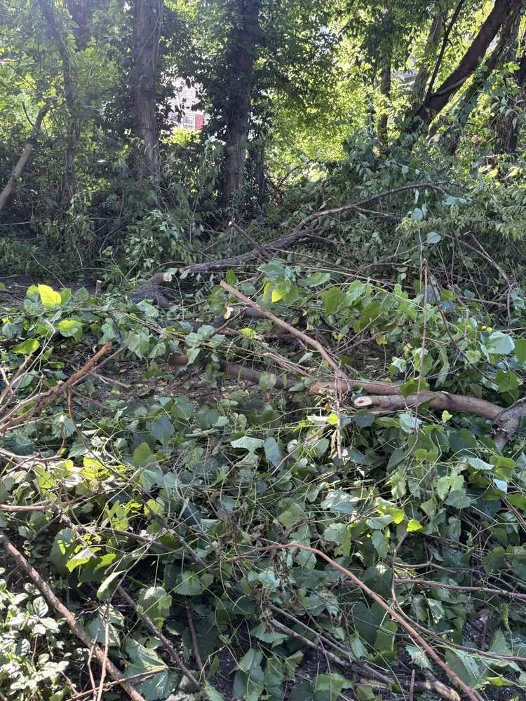 Local lawn care service experts serving Cincinnati, OH - TwoX Translogistics