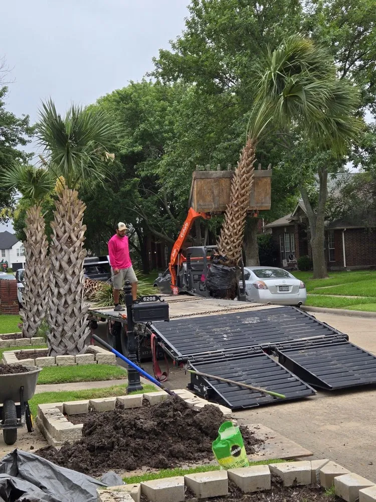 Affordable lawn care service experts serving Irving, TX - TWP