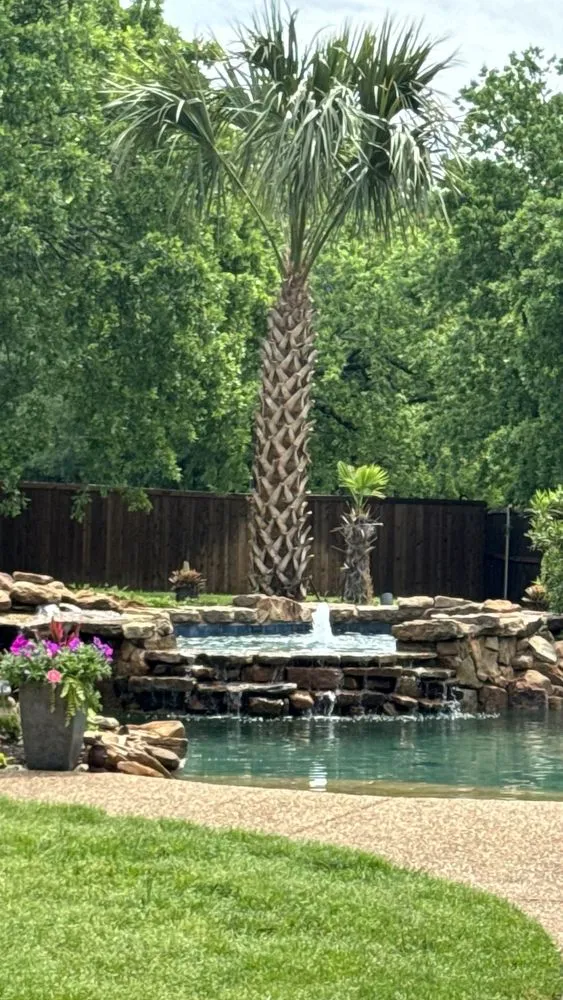 Professional landscaping services in Irving, TX by TWP