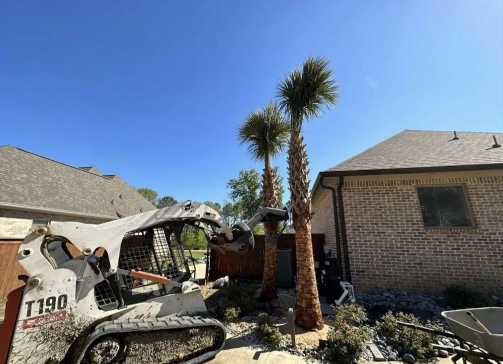 Reliable yard cleanup service in Irving, TX - TWP