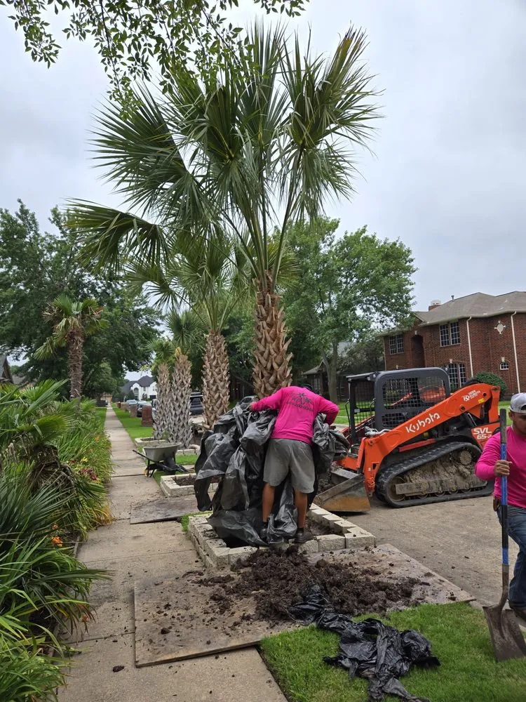 Custom yard cleanup service experts serving Irving, TX - TWP