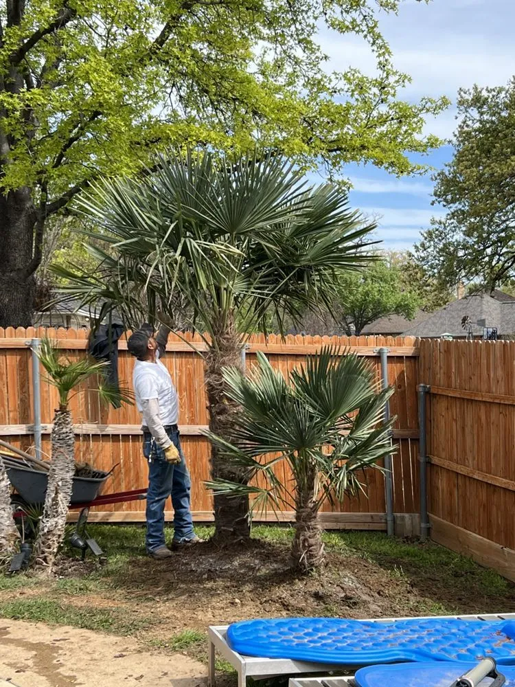 Professional yard cleanup service in Irving, TX - TWP