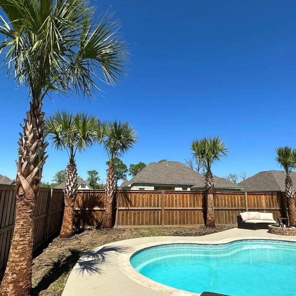 Custom yard maintenance for year-round maintenance in Irving, TX by TWP